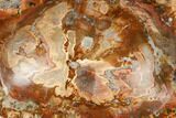 Colorful Polished Petrified Wood Dish - Madagascar #182868-2